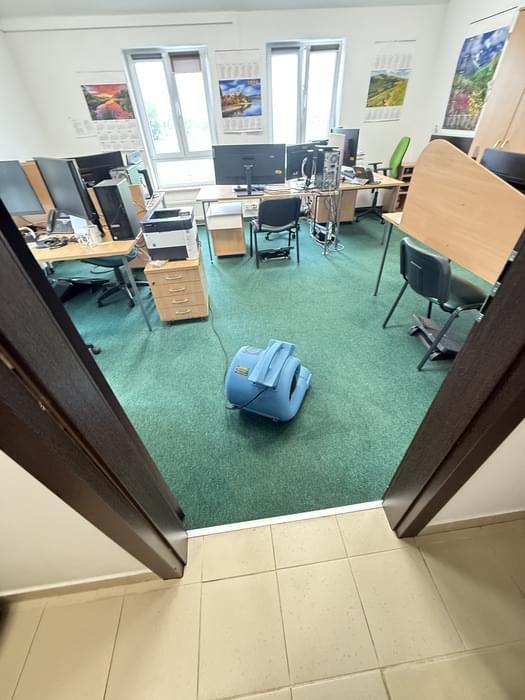 Profesjonalny niebieski osuszacz powietrza na wypranej zielonej wykładzinie w biurze
